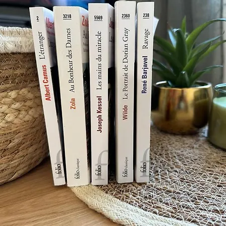 בית נופש « maison Sauge » Et Son Jardin דוביל